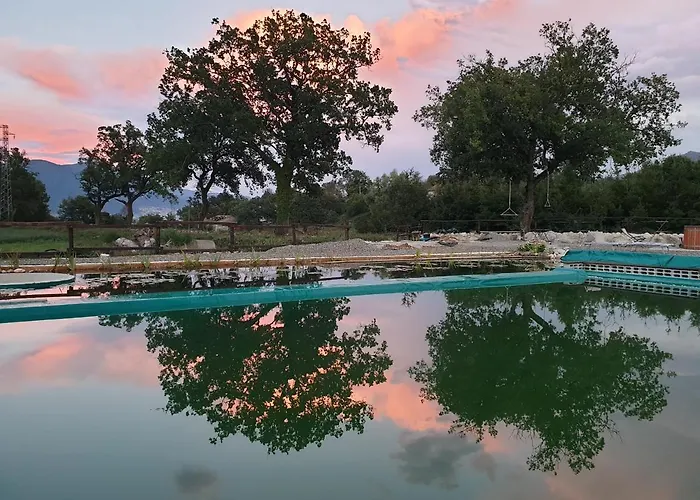 Agriturismo Albero Del Miele