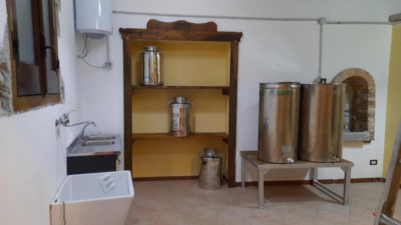 Agriturismo Albero Del Miele San Rufo
