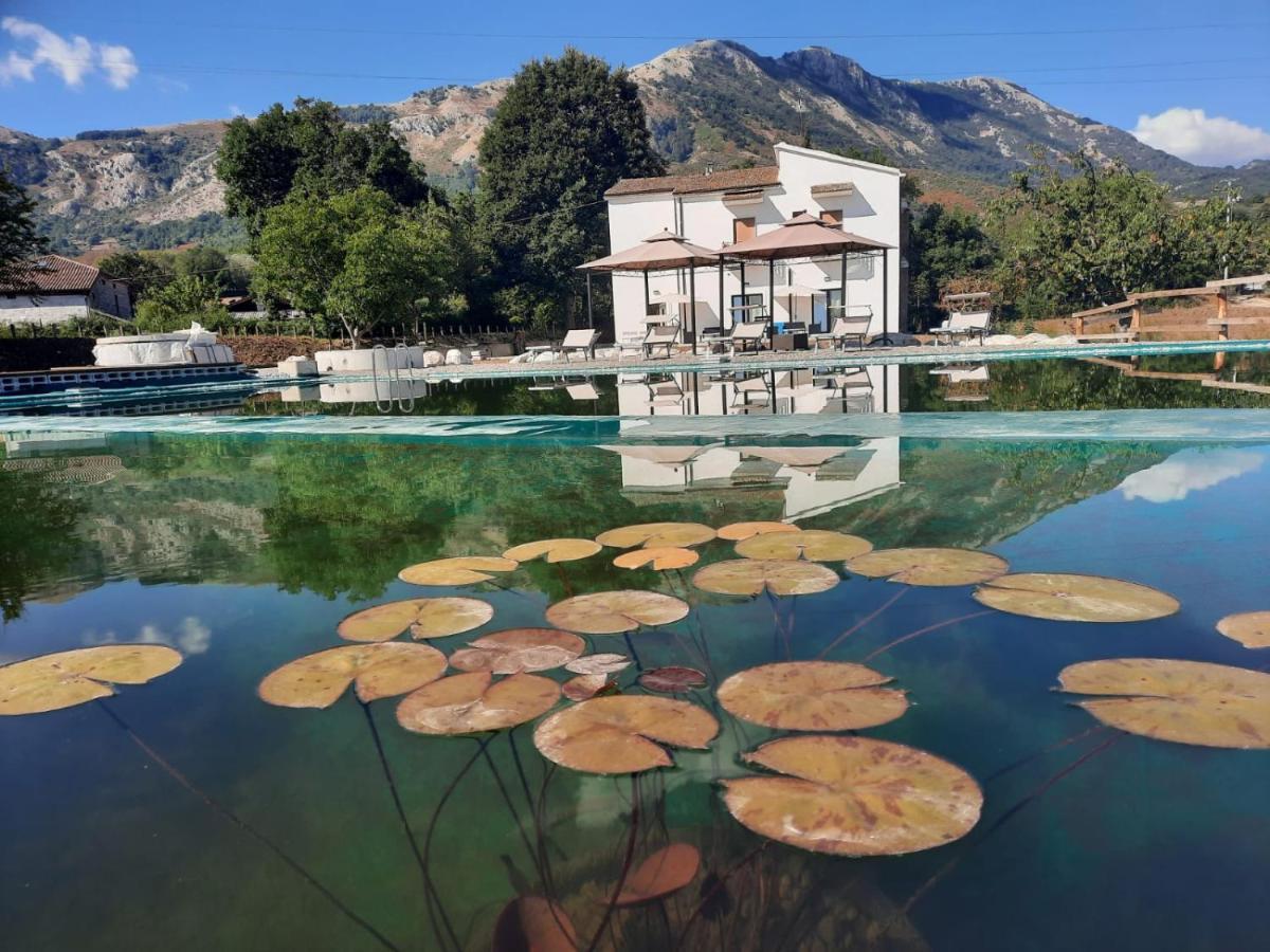 Agriturismo Albero Del Miele Farm stay San Rufo