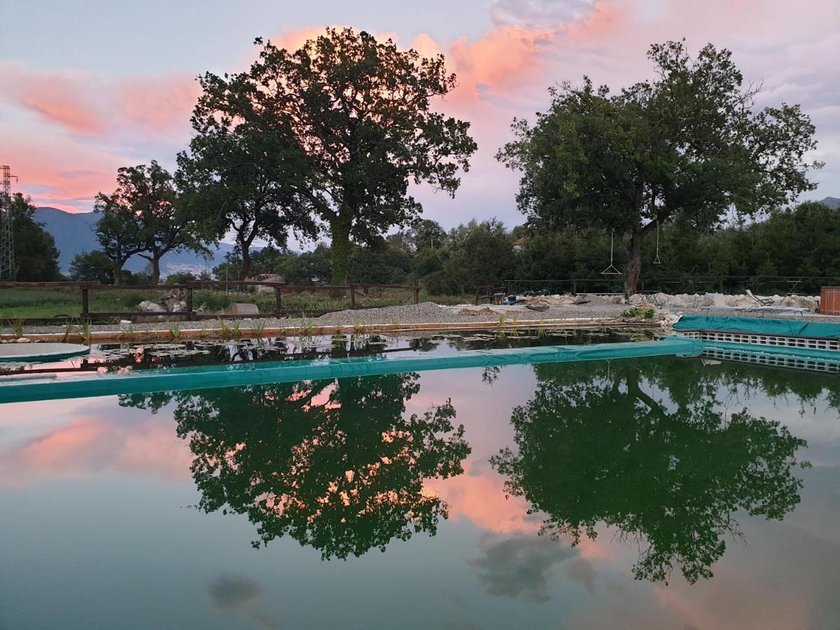 Agriturismo Albero Del Miele Farm stay San Rufo